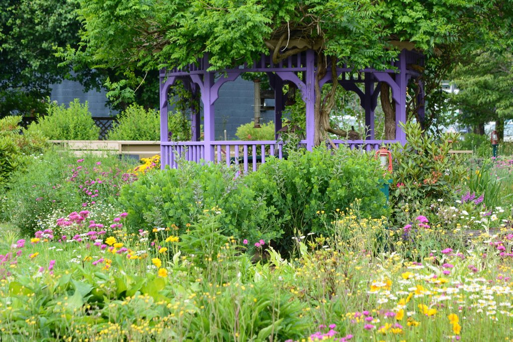 Hidden Valley Motel主图