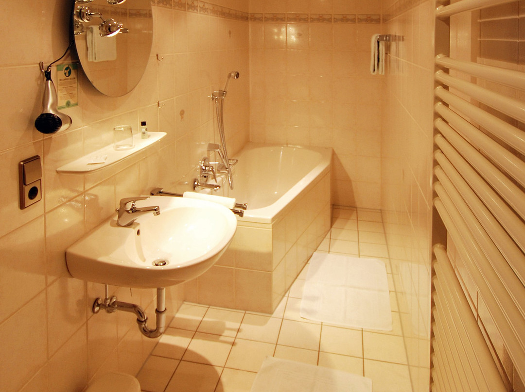 Hotel Gasthaus zur Eiche主图