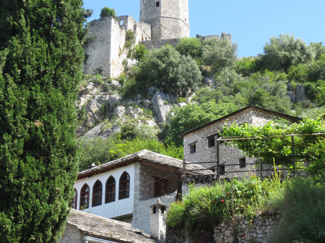 Cheap Dubrovnik Tours景点图片