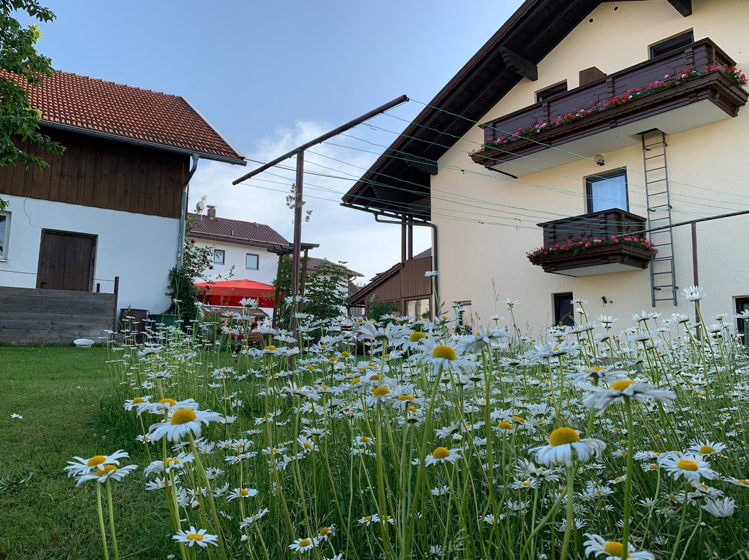 Landgasthof Geiger主图