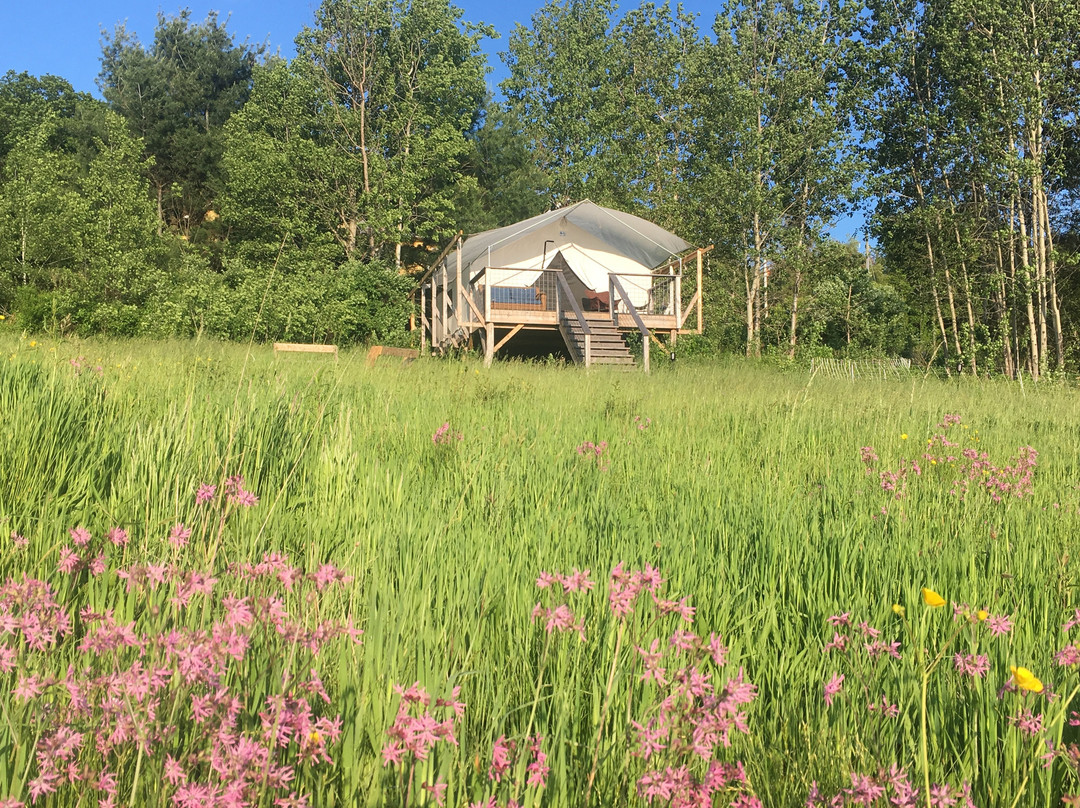 The Meadow @ Shelterbelt Farm