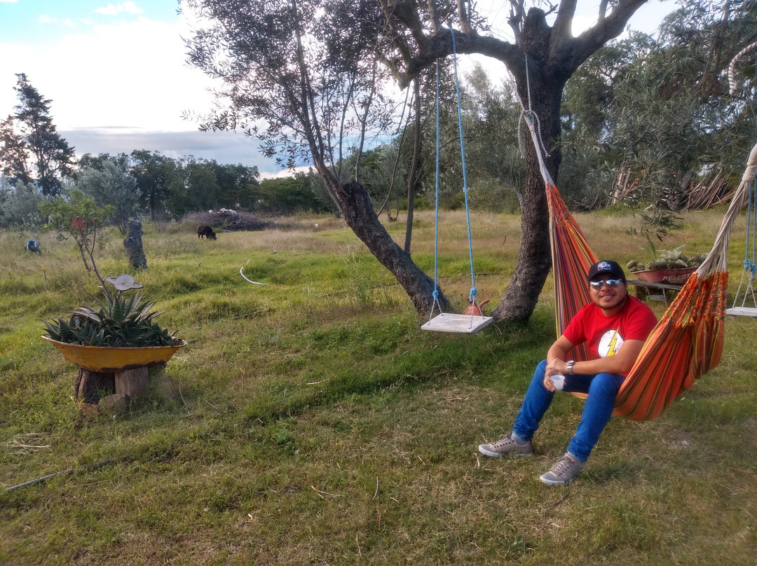 Hotel Gran Sirius主图