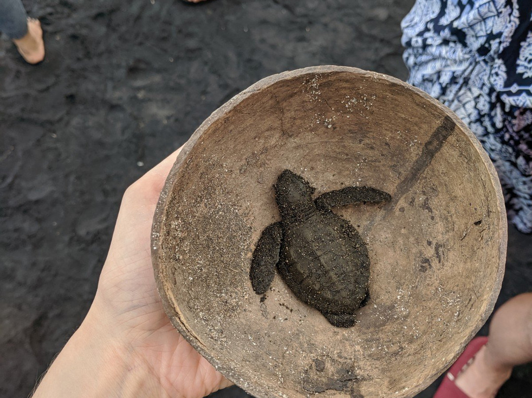 皇家普尔纳玛艺术套房别墅酒店主图