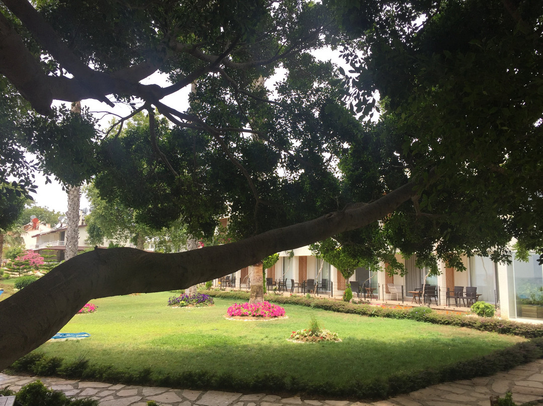 Marvel Tree Hotel Bozyazi主图