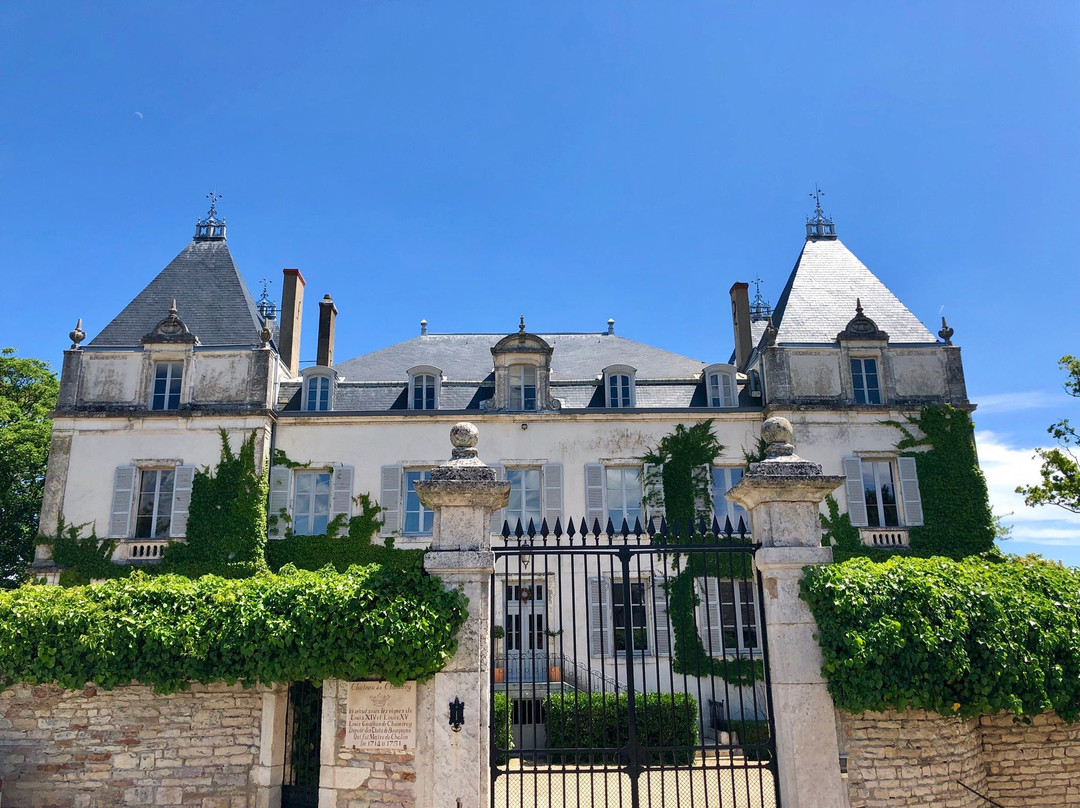 Château de Chamirey景点图片