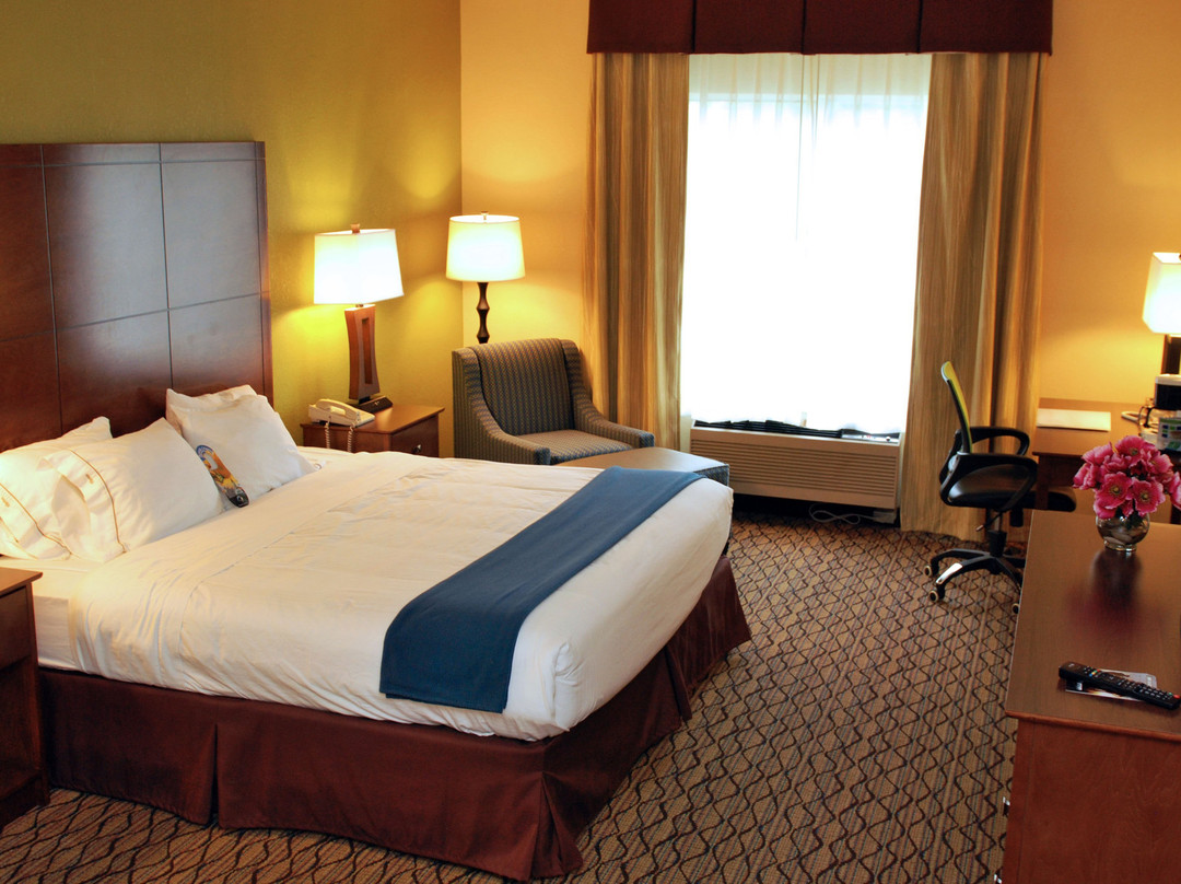 拉皮尔快捷假日酒店主图