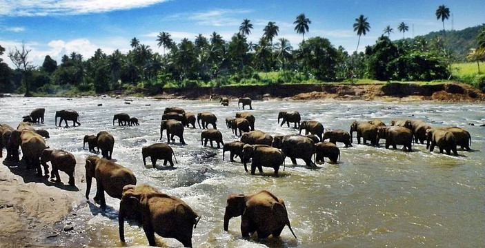 Sri Lankan Beach-Gampaha必去景点