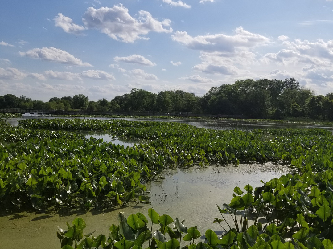 John Heinz National Wildlife Refuge at Tinicum景点图片