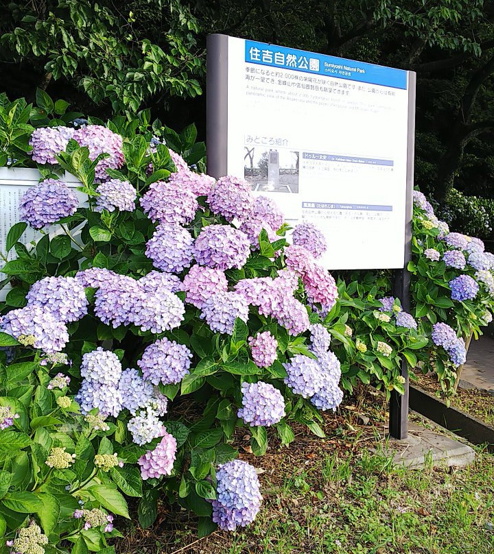 Sumiyoshi Nature Park-宇土市必去景点