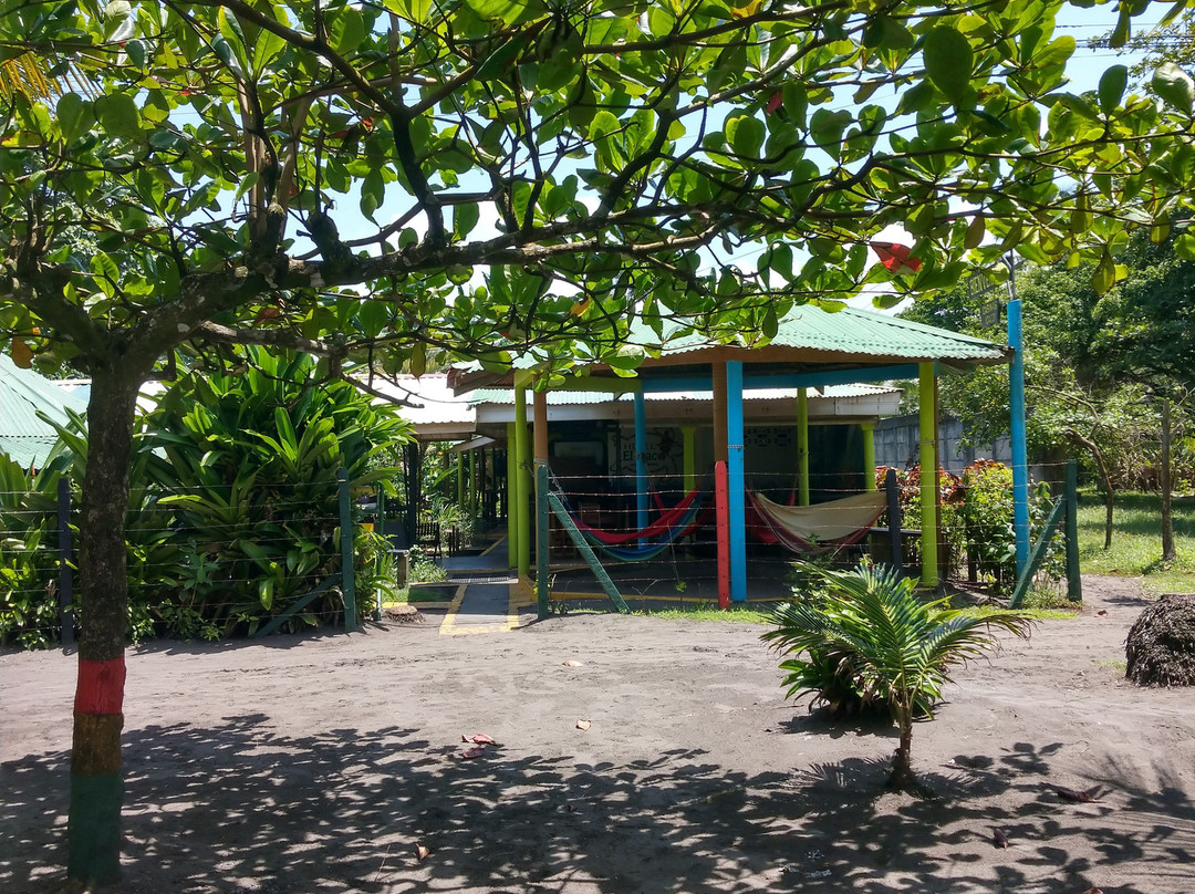 Hotel El Icaco Tortuguero主图