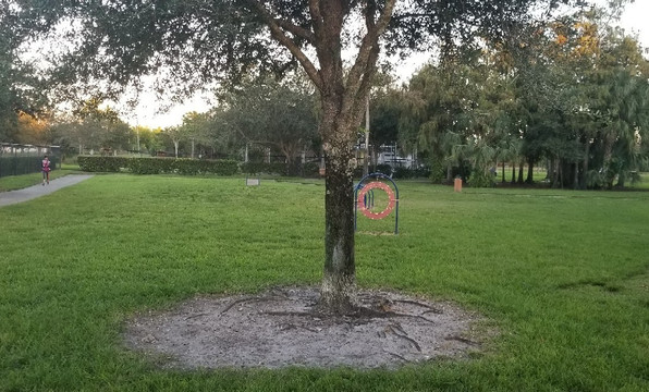 Barkland Dog Park-Parkland必去景点