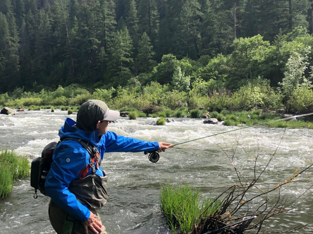 Reel Adventures Guide-雷丁必去景点