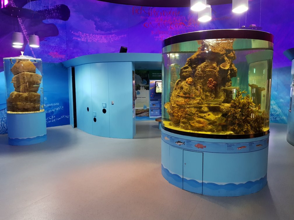 Riverwatch Aquarium and Visitor Centre景点图片
