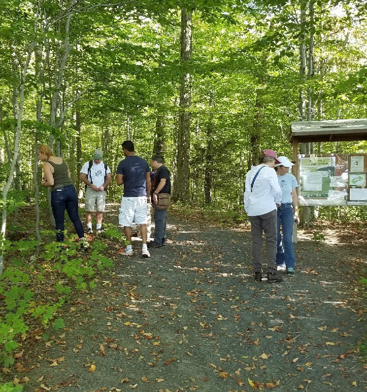 Burlingame Trail-Cazenovia必去景点