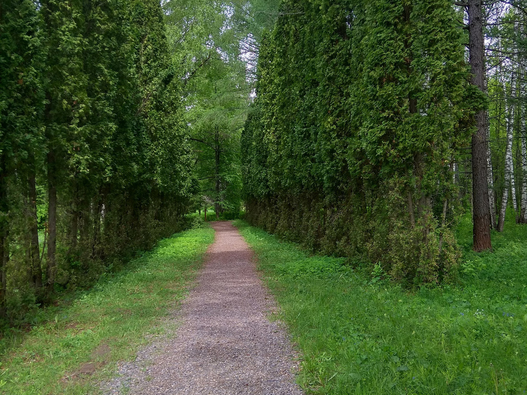 Arboretum Volga-Kama Biosphere Reserve景点图片