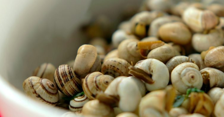 Alpalhao旅游攻略图片