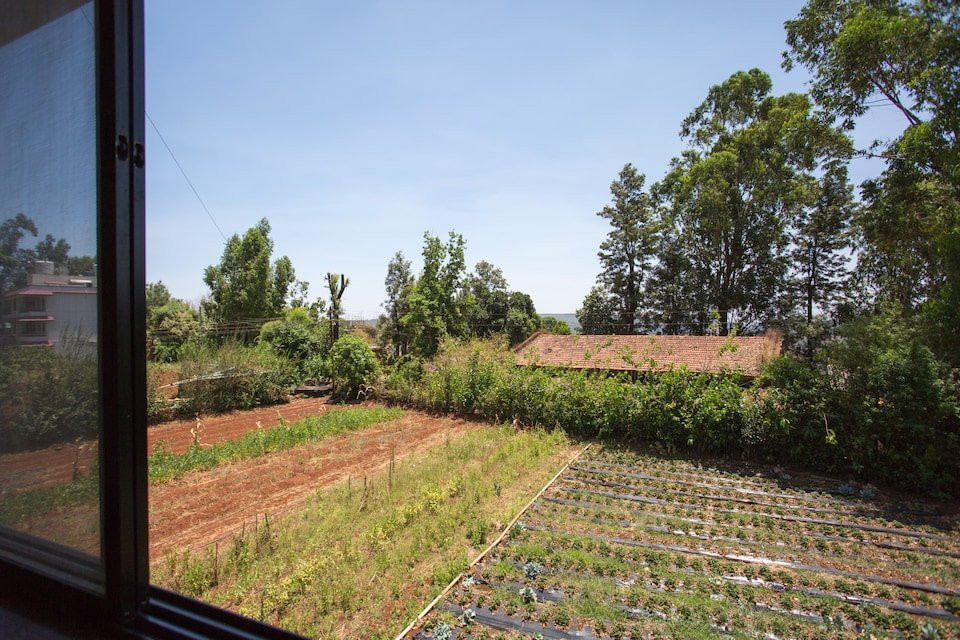 Hotel Paradise Inn主图