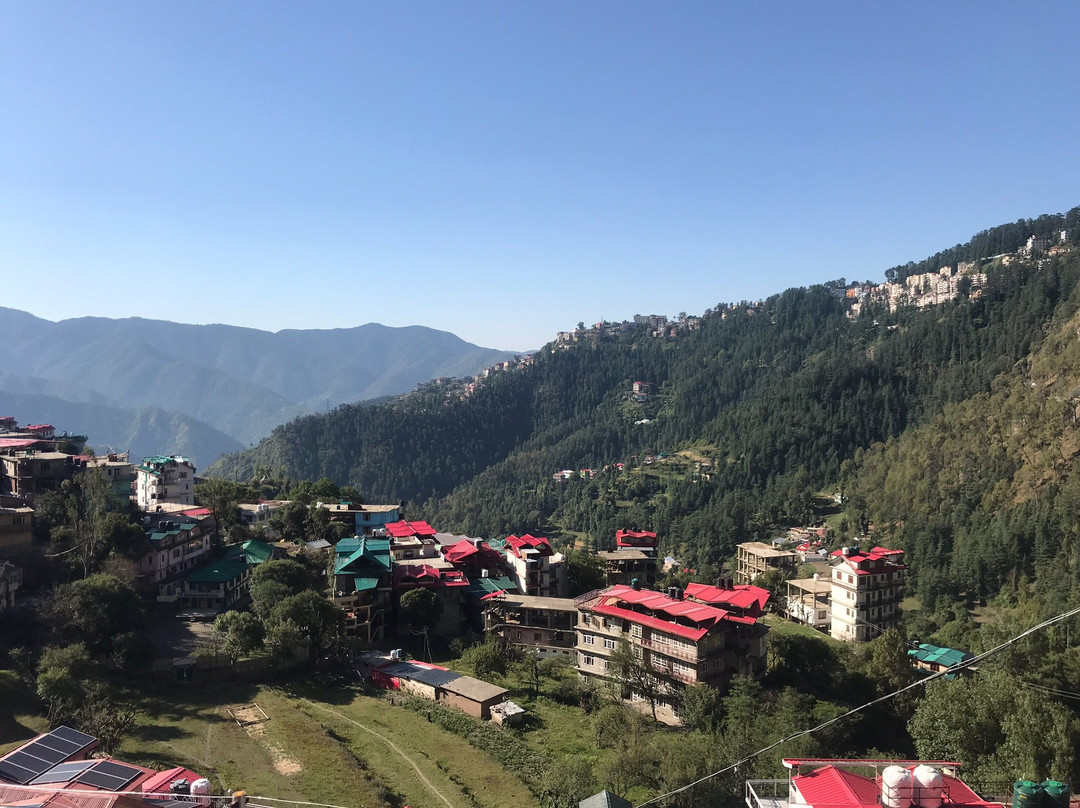 The Pine Residency主图