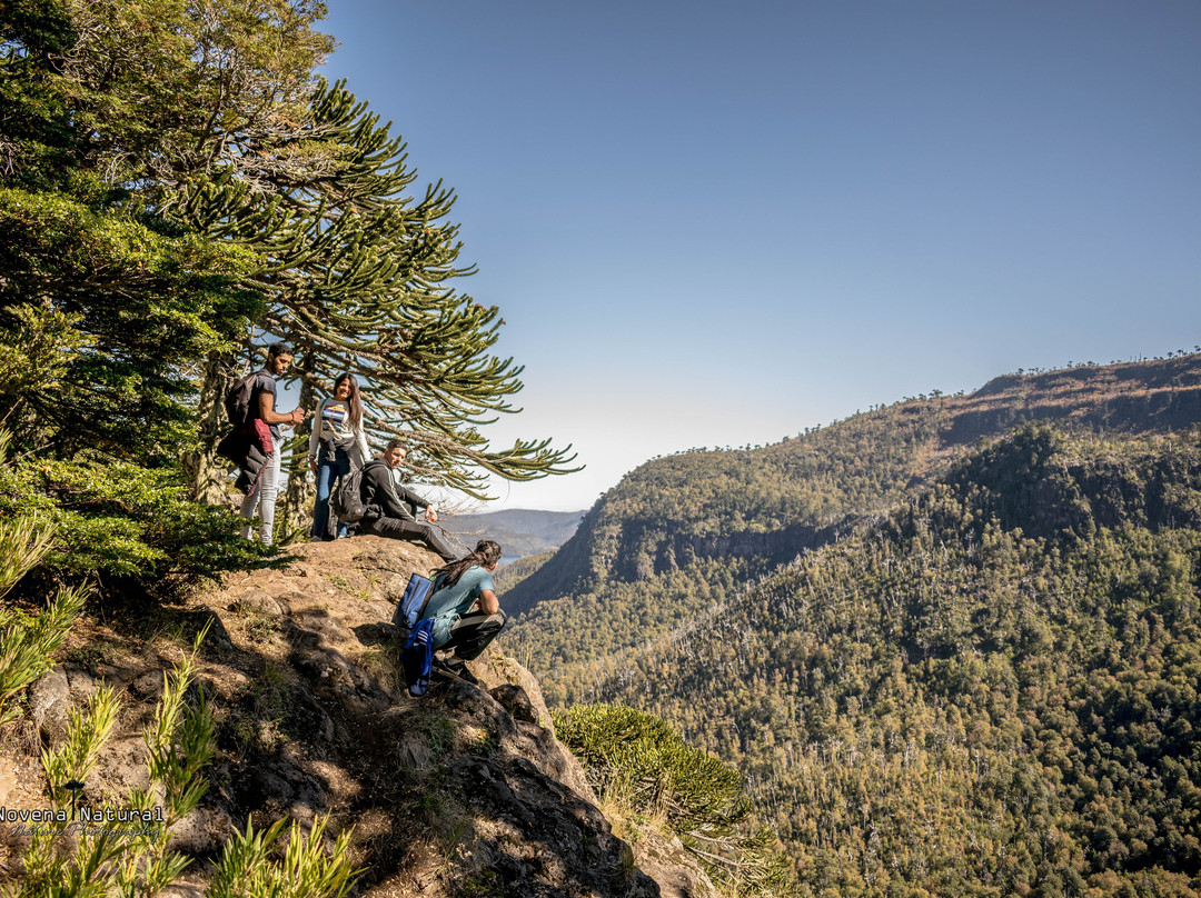 Parque Nacional Tolhuaca-Curacautin必去景点