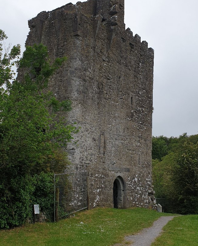 Dromore Wood Nature Reserve-恩尼斯必去景点