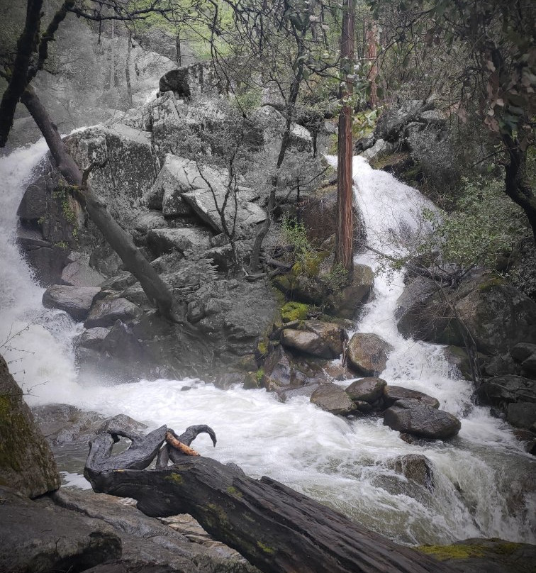 Lewis Creek Trail-菲什营必去景点