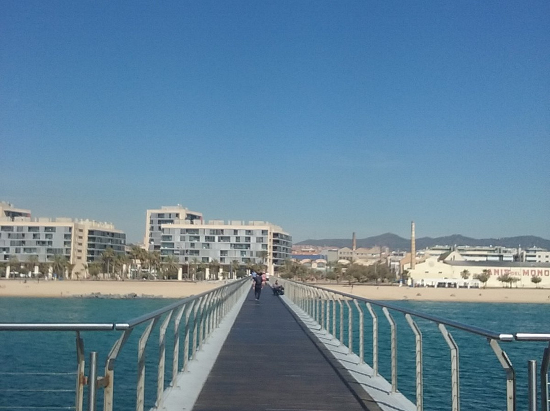 Pont del Petroli景点图片