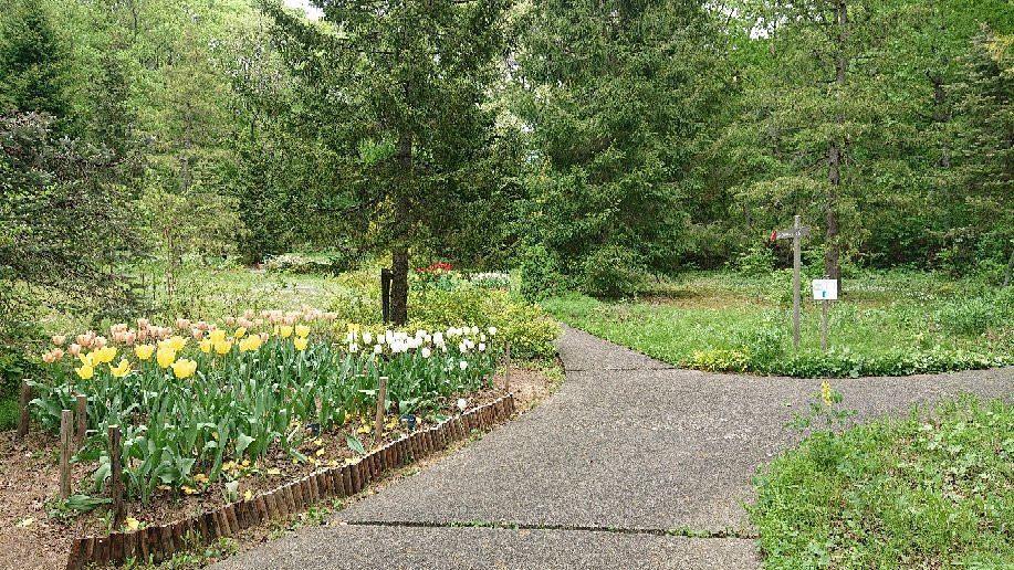 Tajima Kogen Botanical Garden-香美町必去景点