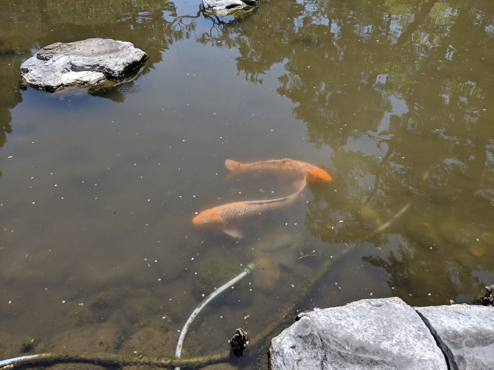 Kagetsutei Garden Art Museum-会津若松市必去景点