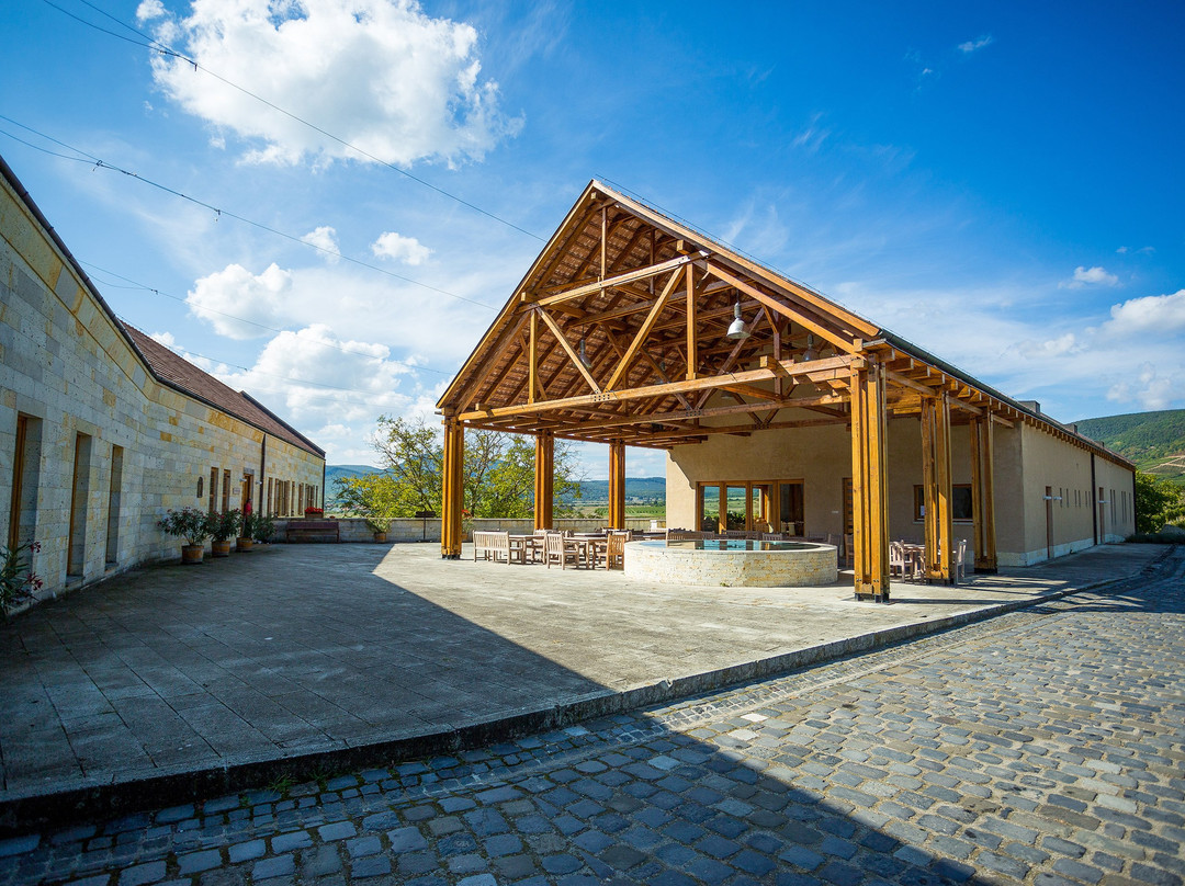 Béres Vineyard and Winery景点图片