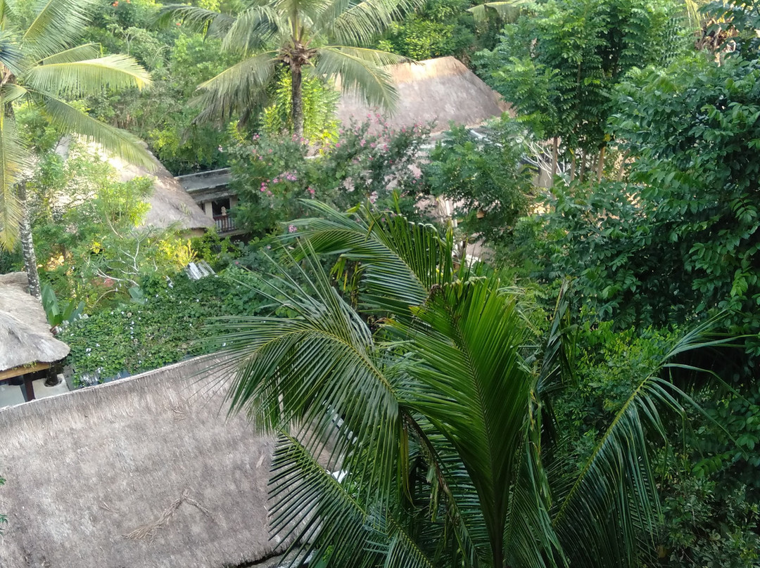 乌布洛克哈酒店主图