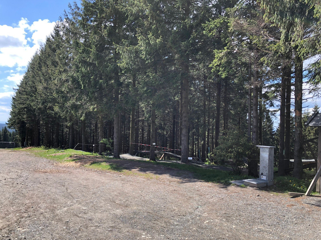 Bikepark Hahnenklee-Hahnenklee-Bockswiese必去景点