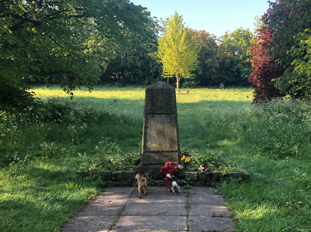 Darenth Country Park景点图片