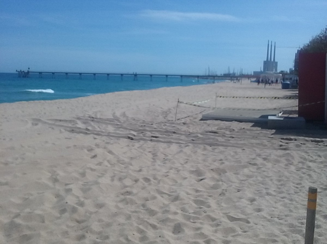 Rambla de Badalona景点图片