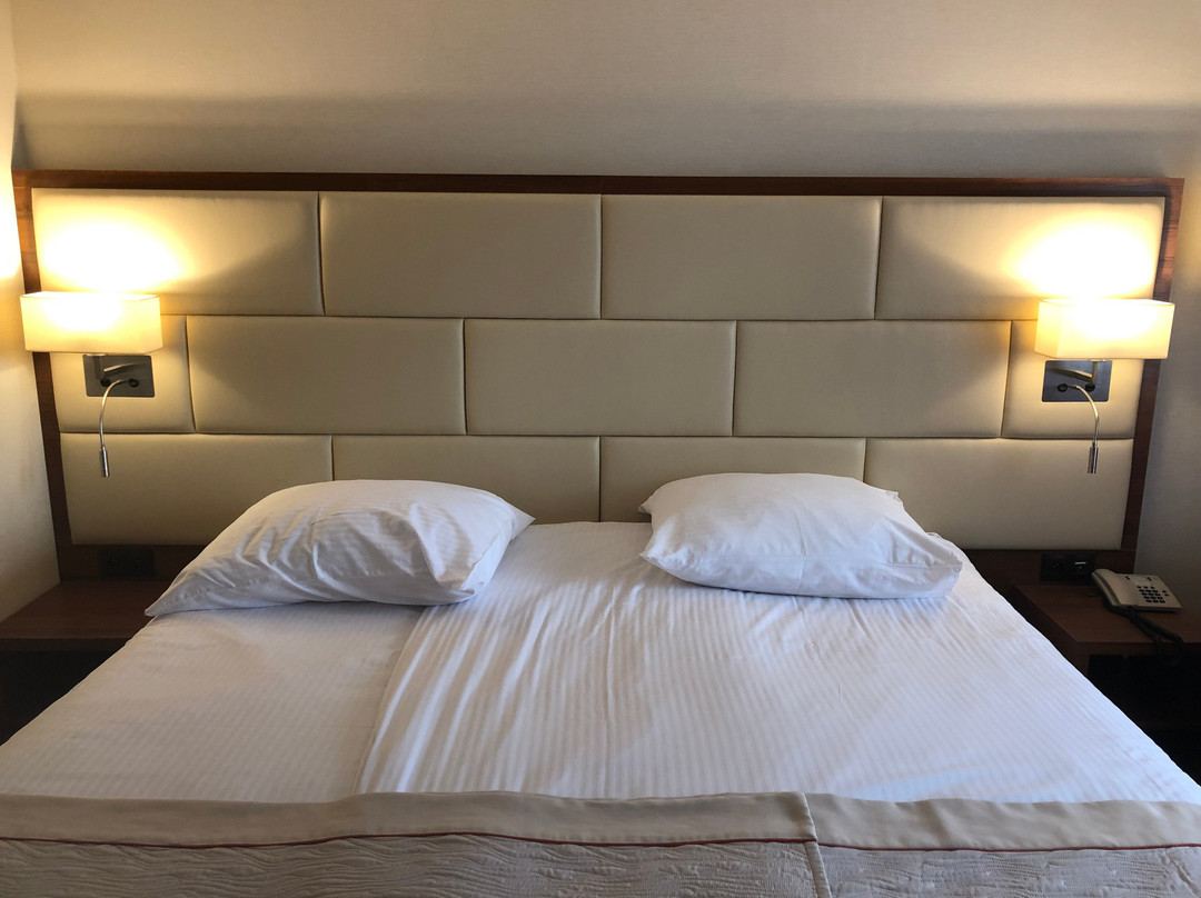 Boss Hotel主图