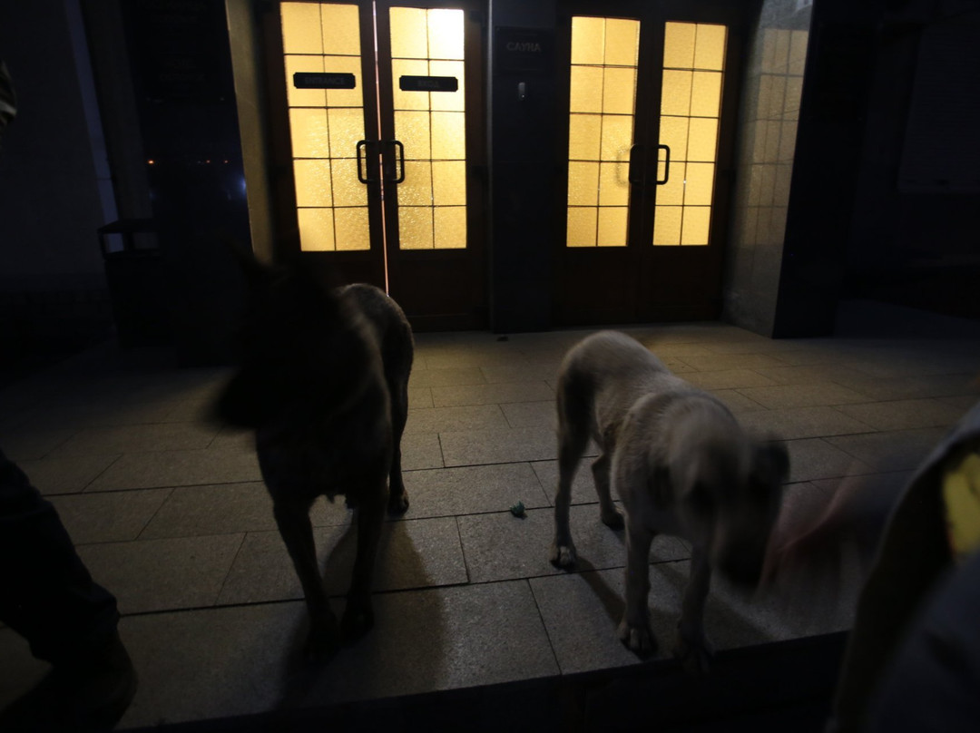 Ostrovok Hotel主图