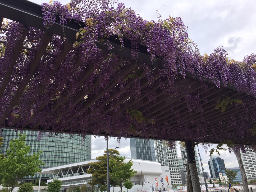 Takashima Chuo Park-Minatomirai必去景点