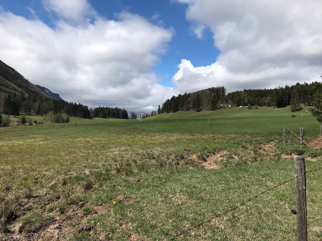 Berggasthof Mamauwiese