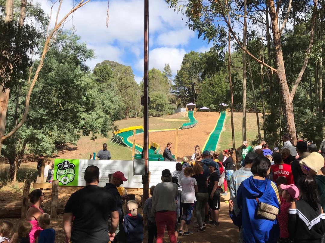 Woodhouse Adventure Park-阿德莱德必去景点