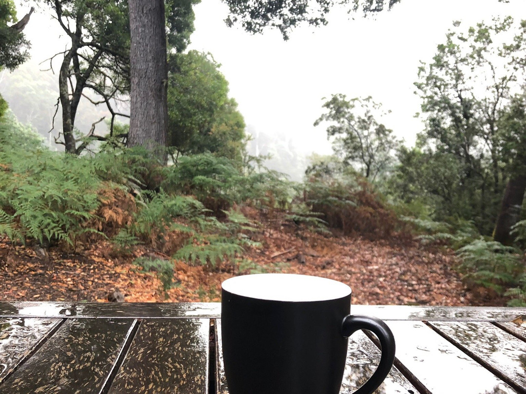 Blue Derby Pods Ride-Derby必去景点