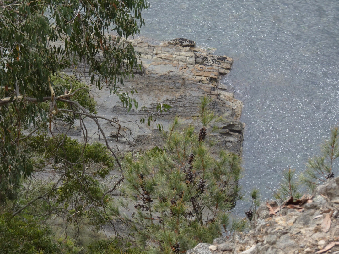 Alum Cliffs Track-Taroona必去景点