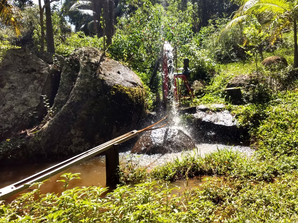 Cotia旅游景点-Bicho Mania