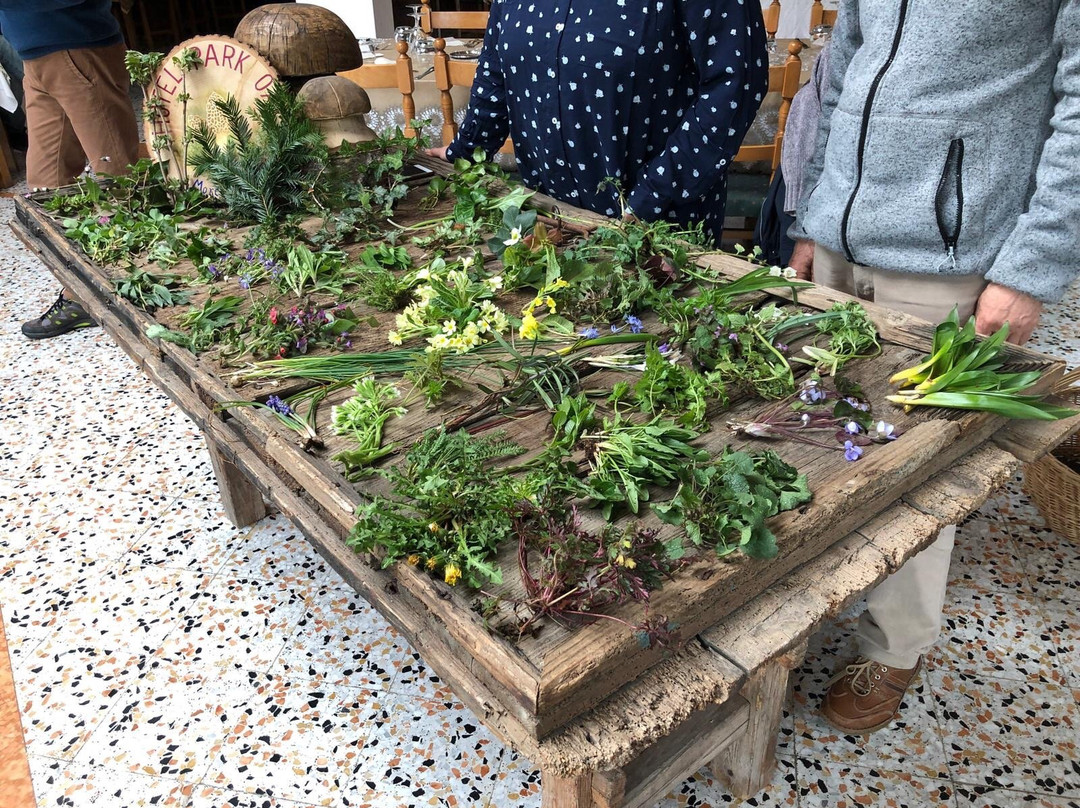 Hotel Park Oasi主图