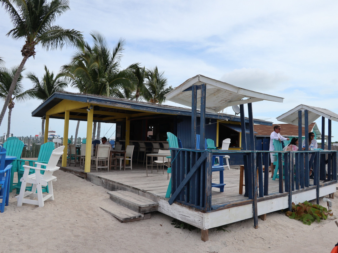 Bimini Bull Run-Bimini必去景点