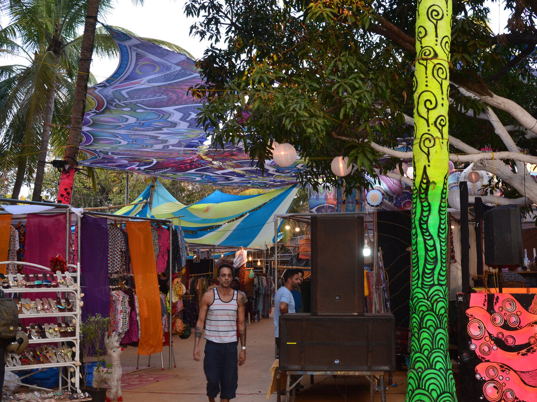 The Goa Collective Bazaar景点图片