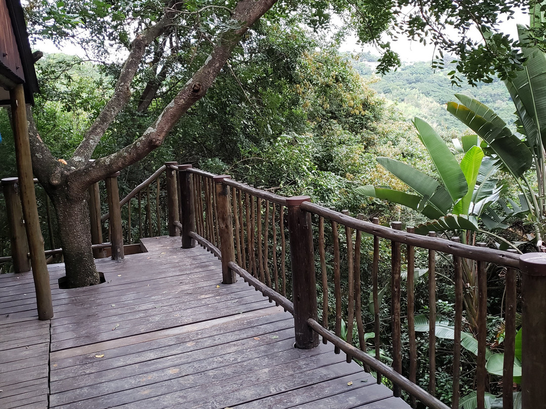 Roosfontein Bed and Breakfast主图