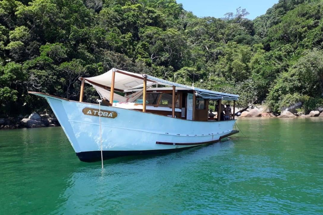 Barco Atobá景点图片