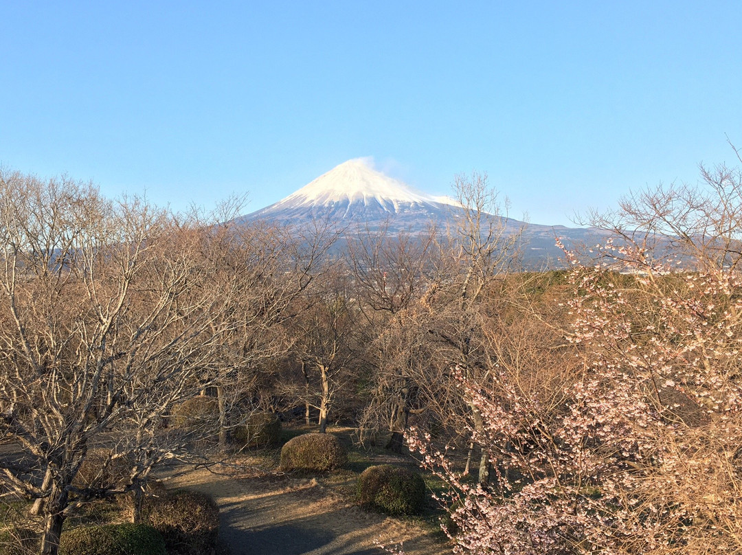 Iwamotoyama Park景点图片