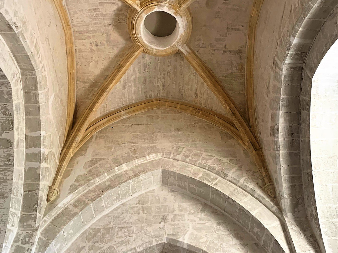 Eglise Saint-Pierre景点图片