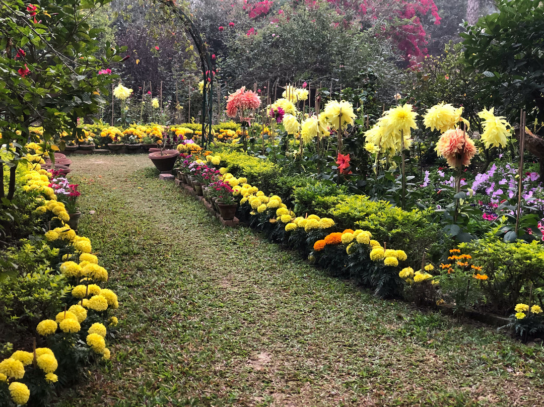 The Garden Bungalow主图