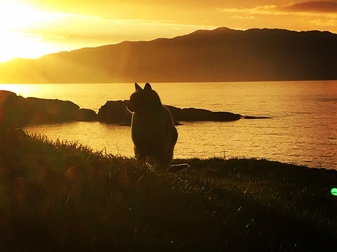 Burchills B&B by the Sea主图